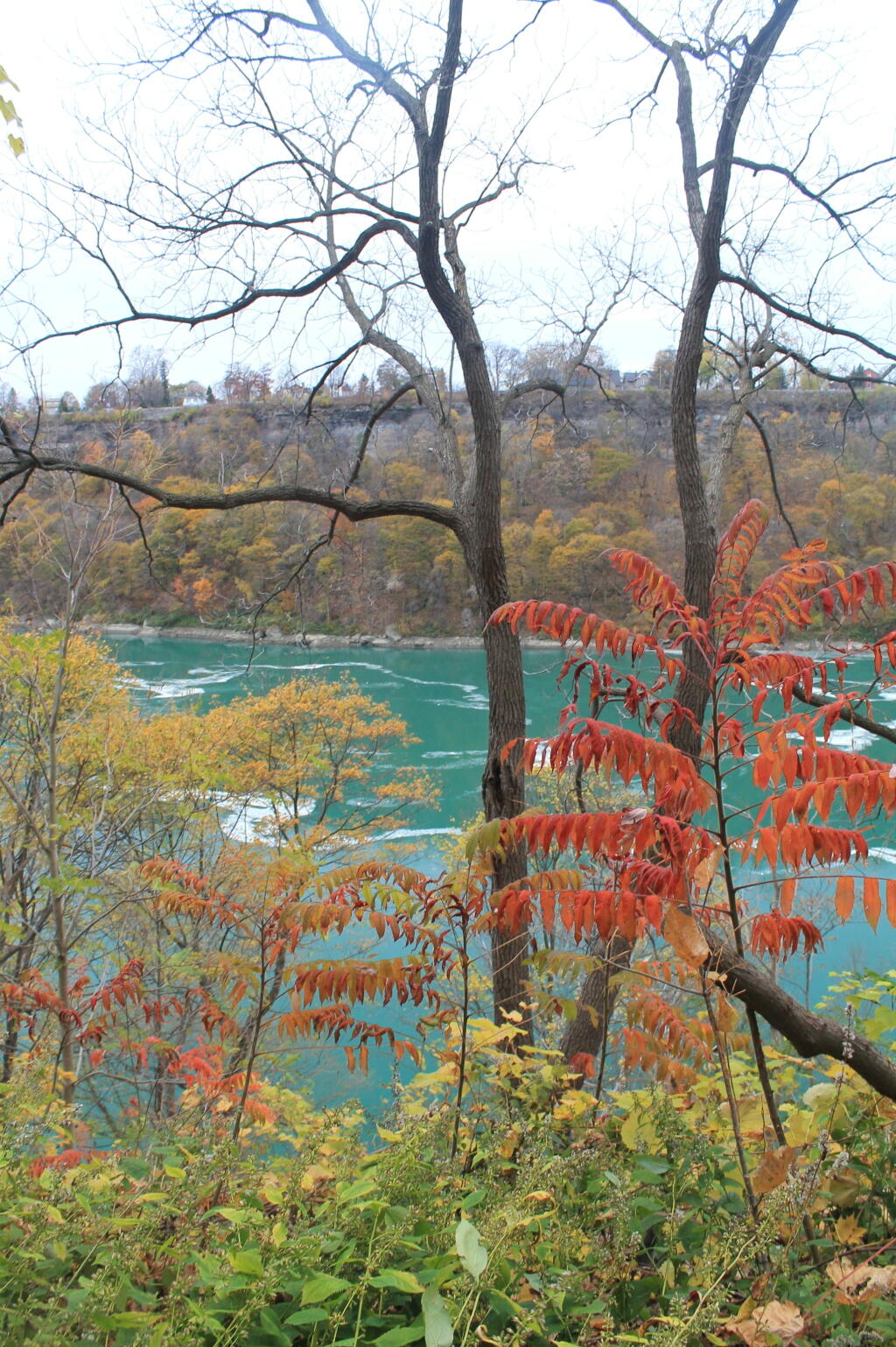 Remaining Color in the Gorge