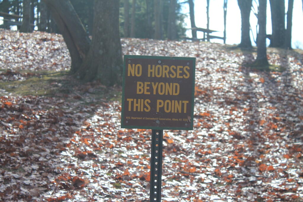 No Horses in MIddle Ground