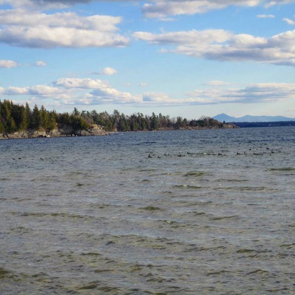 Long Point with Green Mountains in background