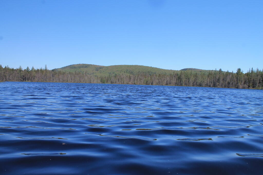Mitchells Pond Mountain from Helldiver Pond