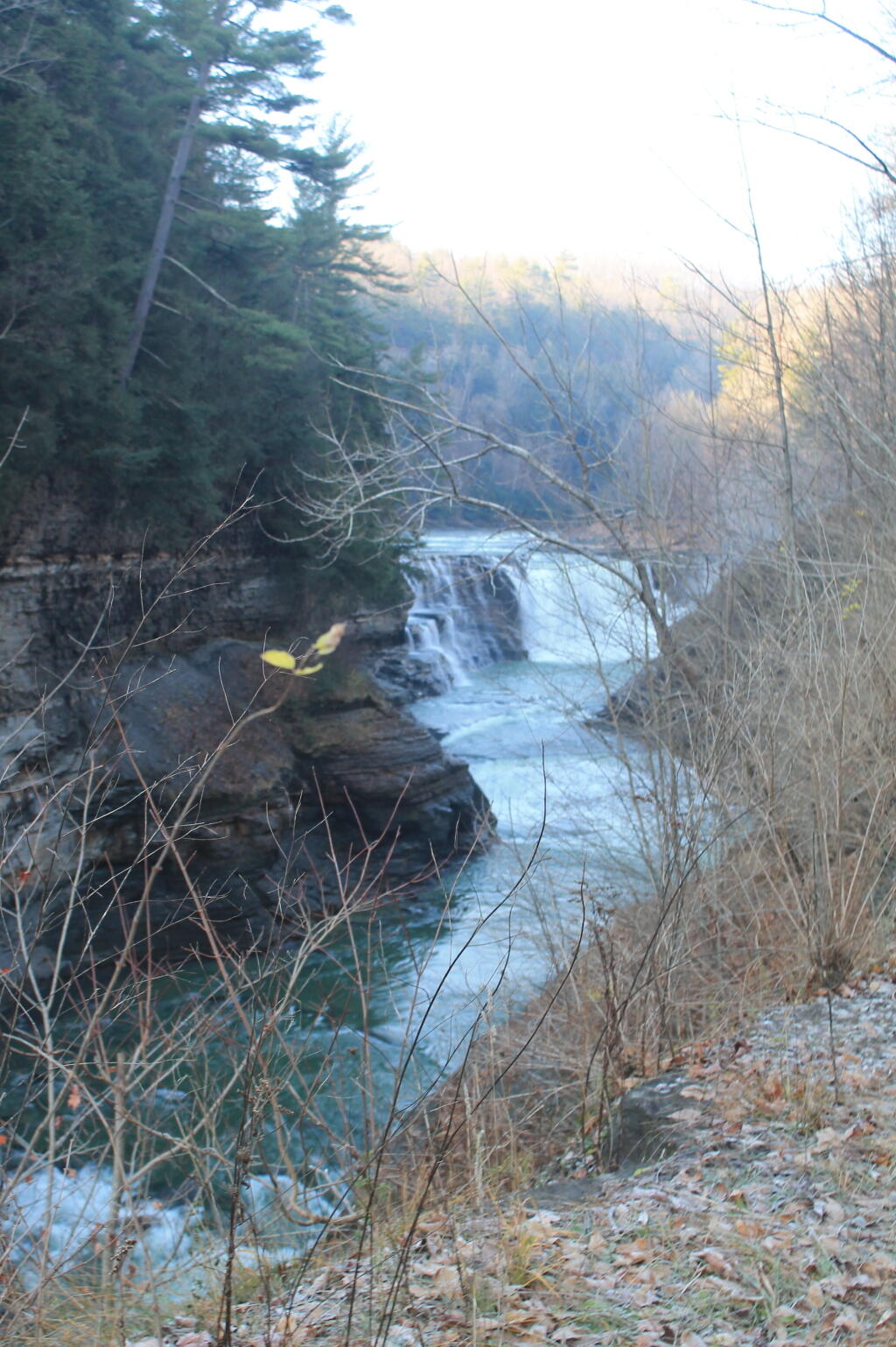 Lower Falls from Bridge Trail