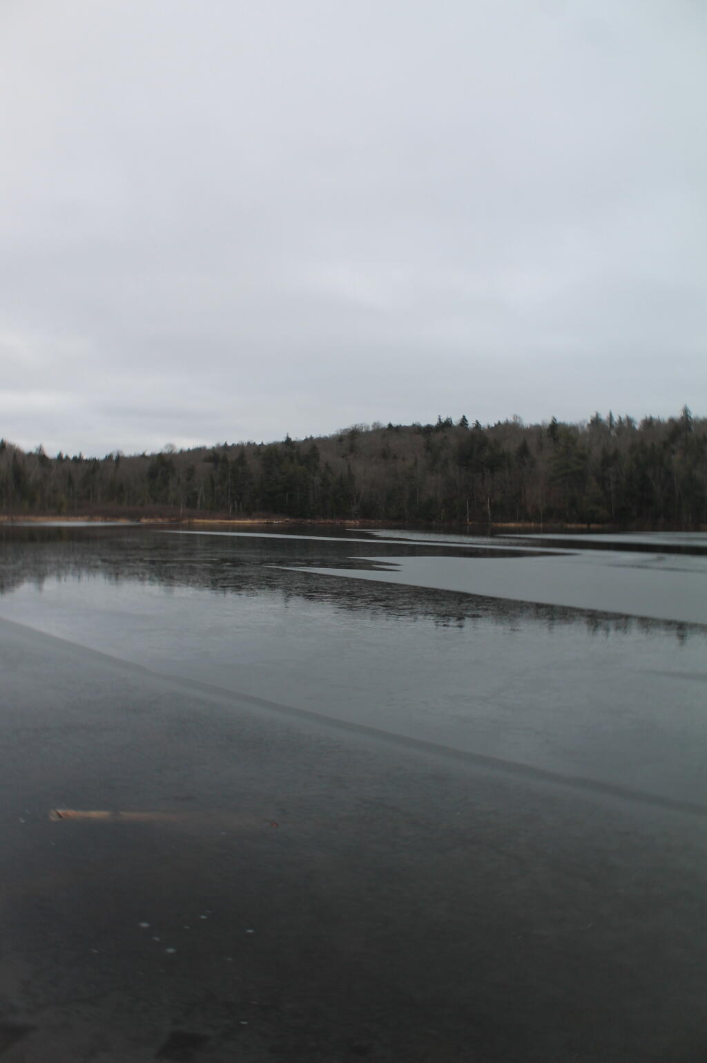 Ice Starting to Form on Huntley Pond