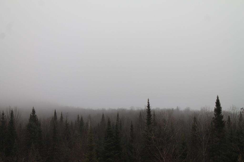 Mount Adams in the Fog