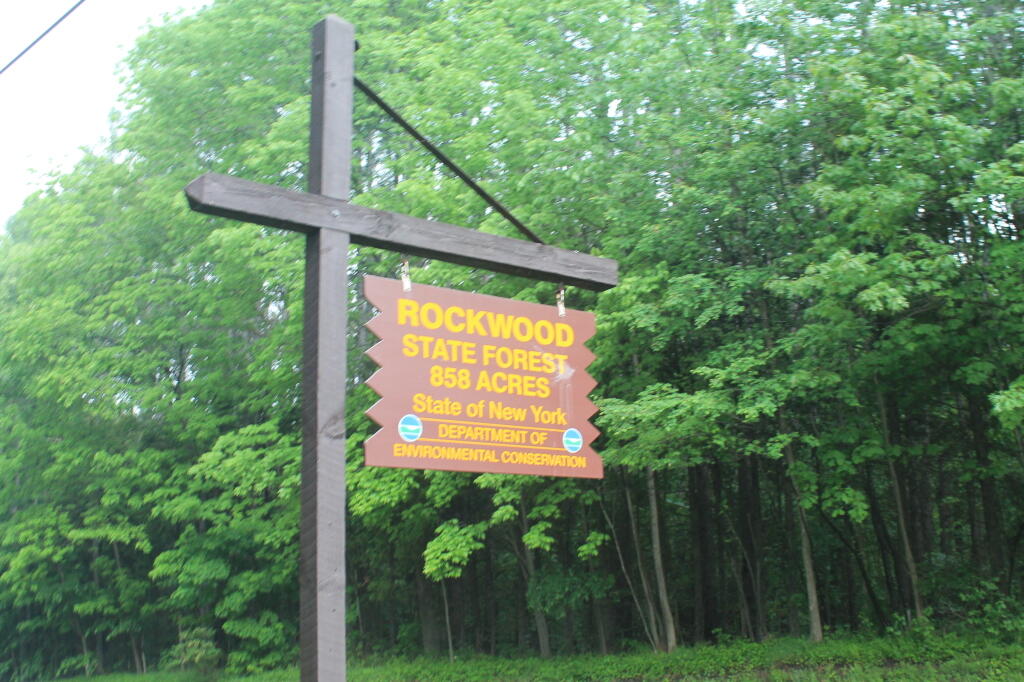 Rockwood State Forest Sign