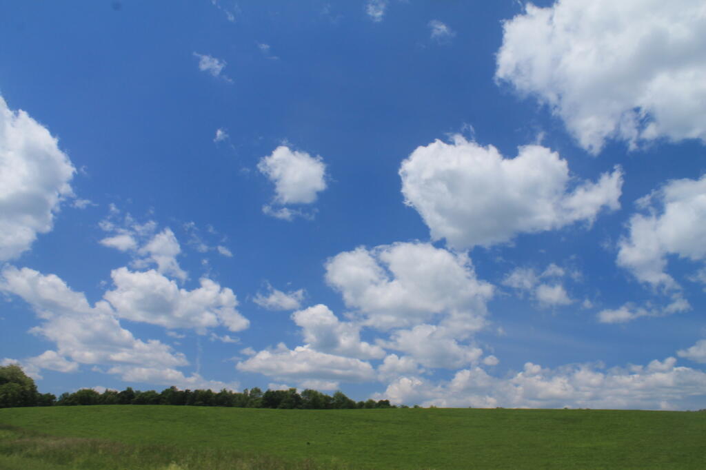 Green Field, Blue Skies