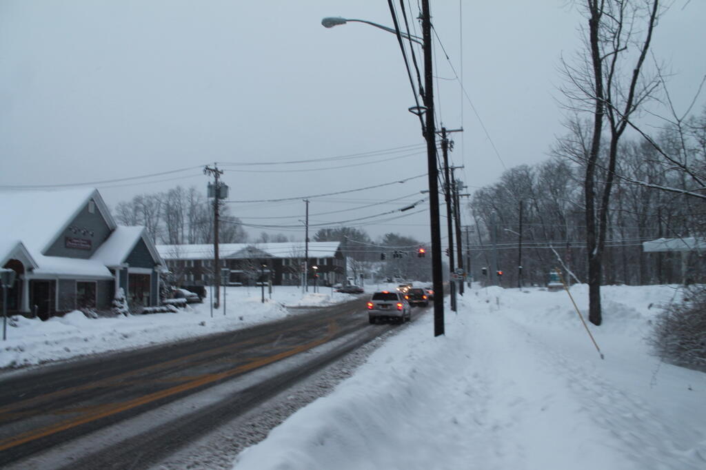 Fresh Snow on Elm Avenue