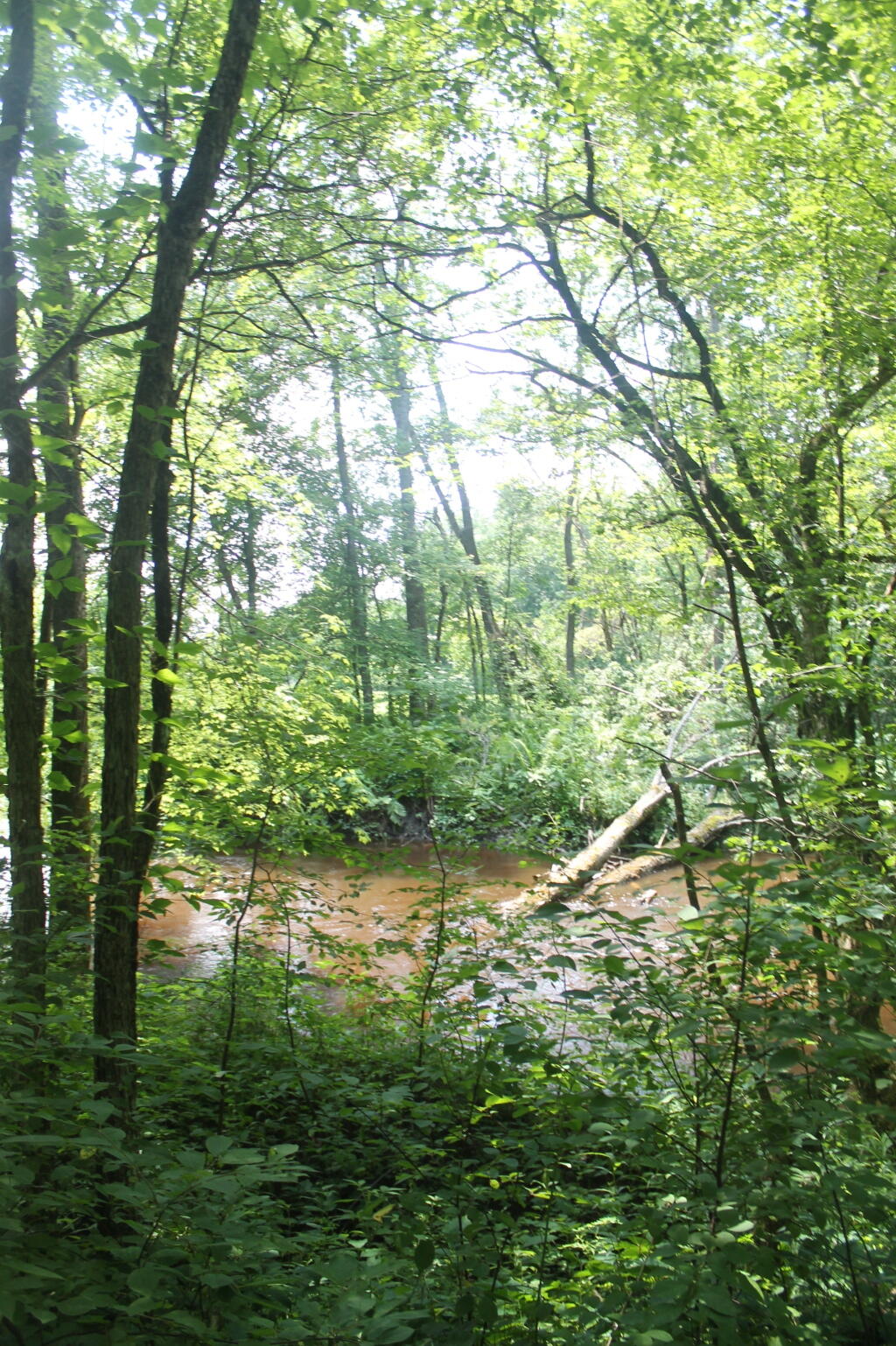 Wood Creek