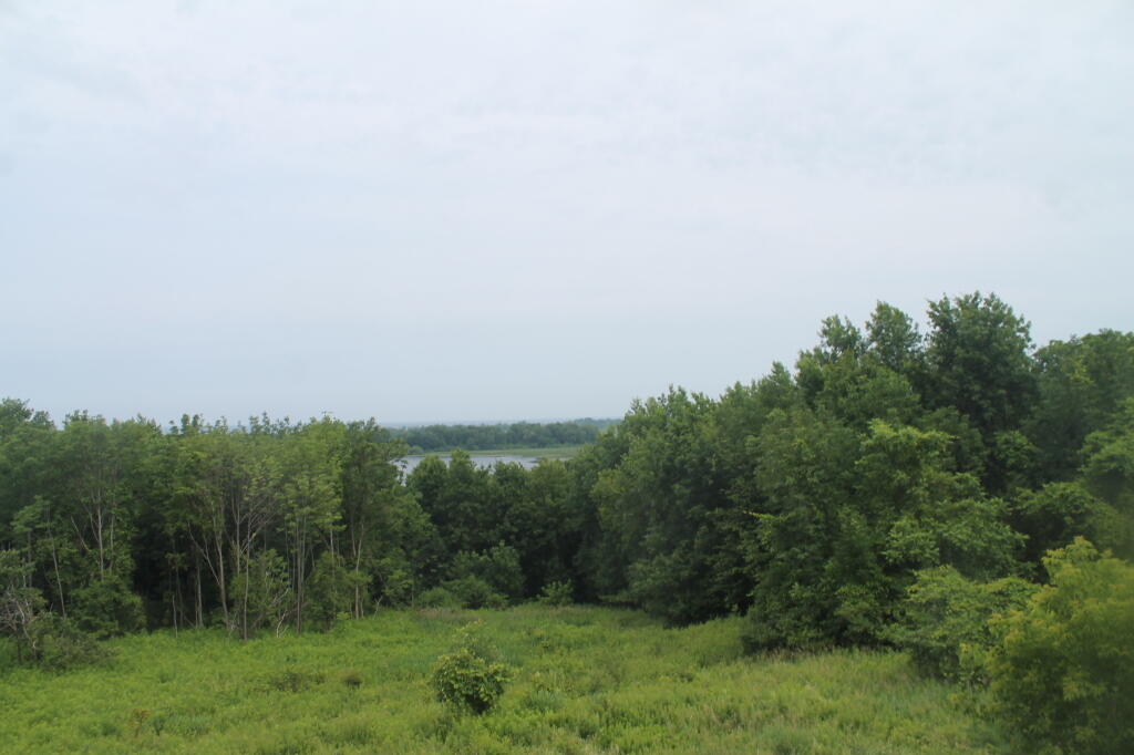 South Caldwell Pond from Wildlife Observation Tower