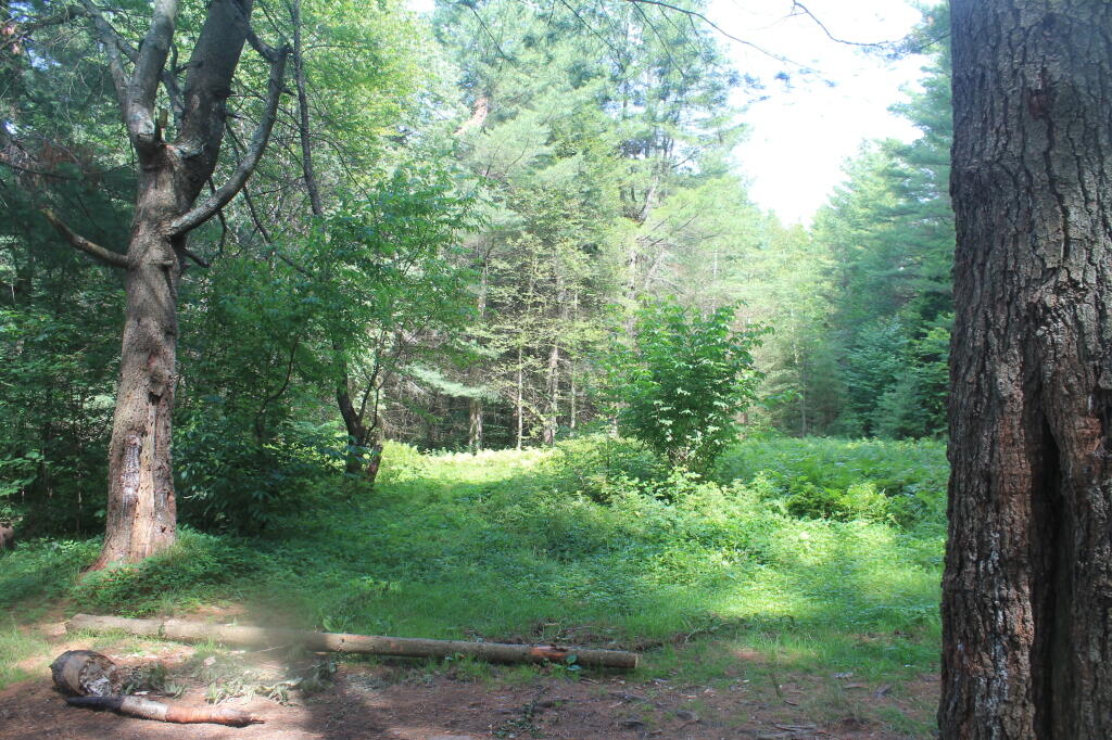 Site of Former G Lake Camp