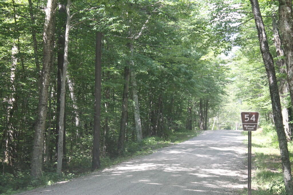 Entrance to Natural Turnpike (Forest Road 54)