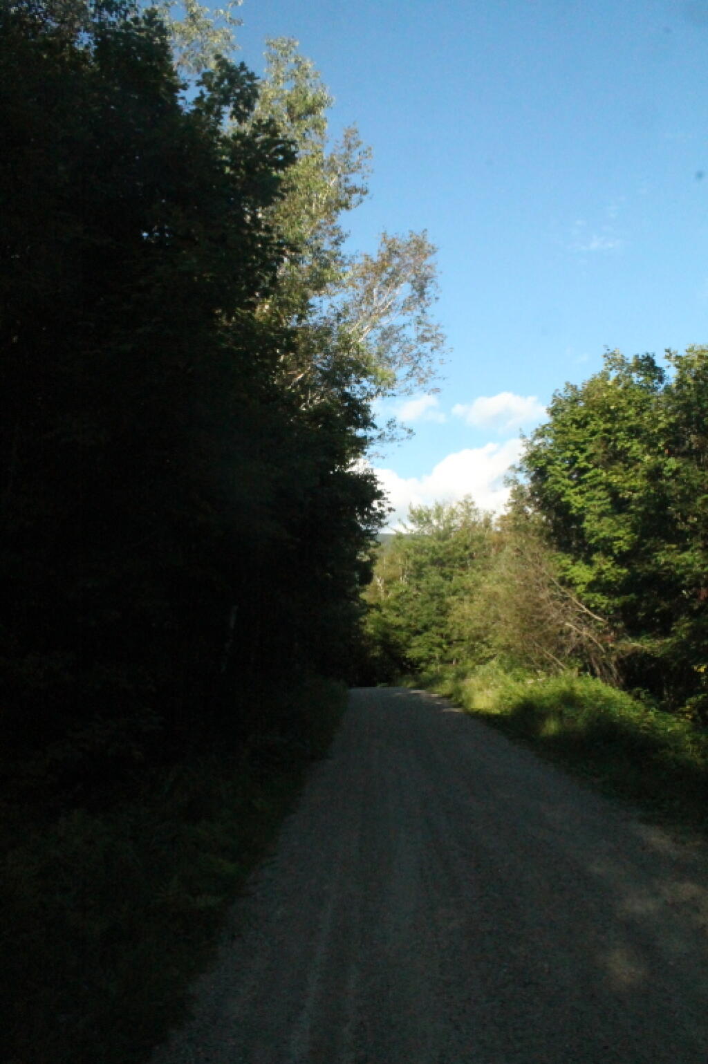 Steam Mill Road