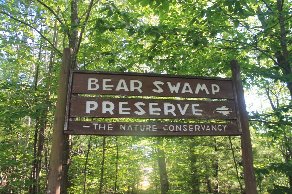 Bear Swamp Preserve Sign