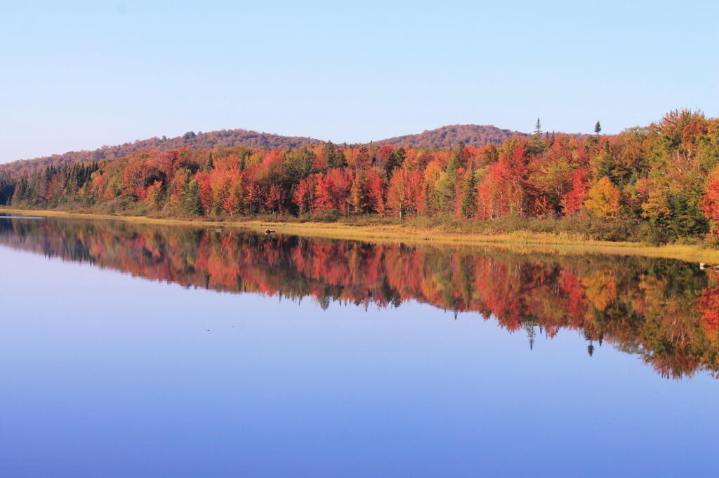 A Fall Reflection Seen from Wakely Dam