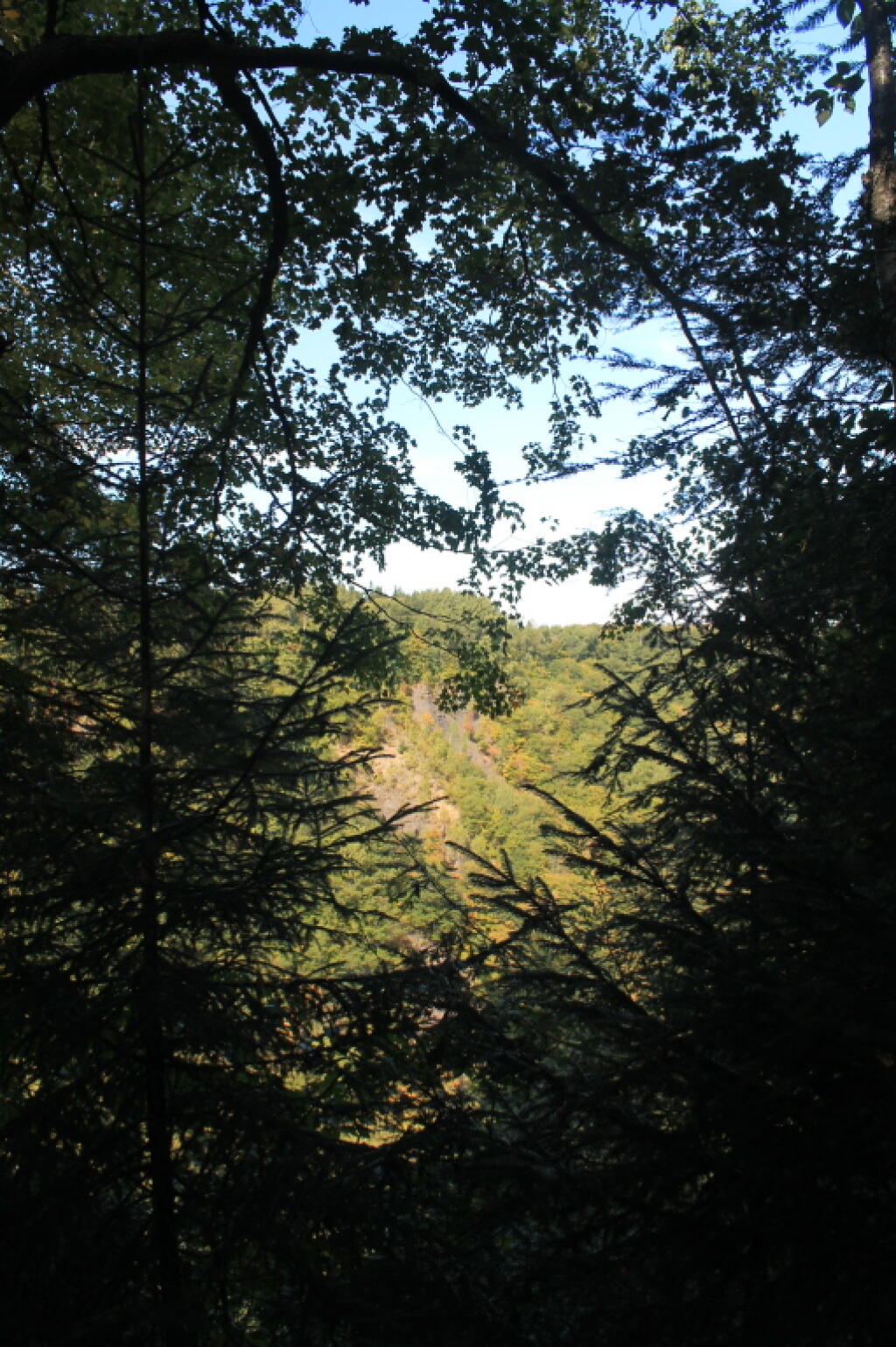  Into The Gorge From Escarpment Trail