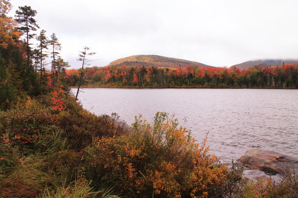 Payne Mountain From Wakely Pond