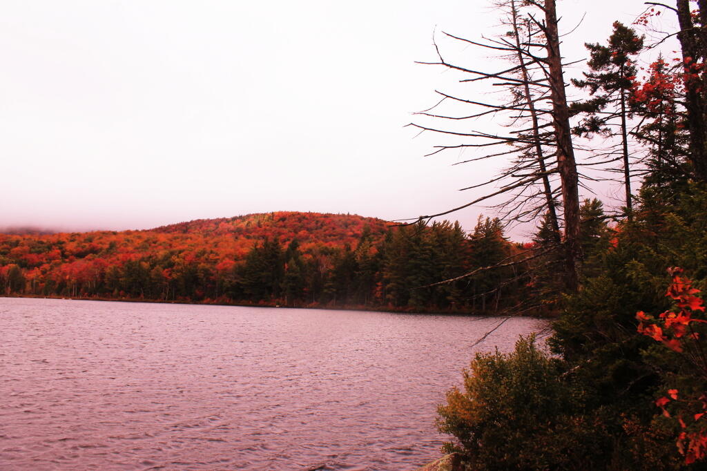 Towards Sugarloaf Mountain At Wakely Pond
