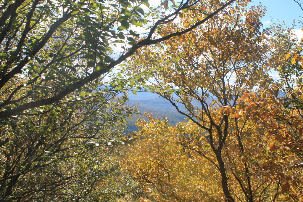 Limited Views from Western-Side of Burnt Knob