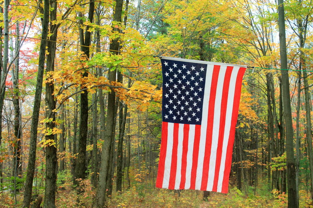 Flag and Fall Colors