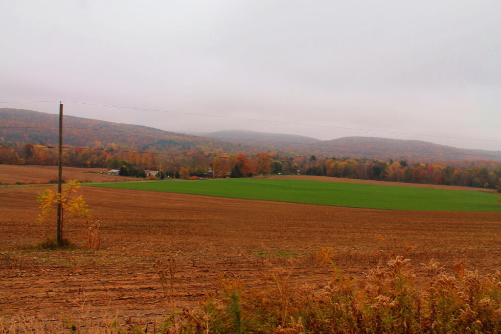 Farm Fields with Connecticut Hill WMA in Background