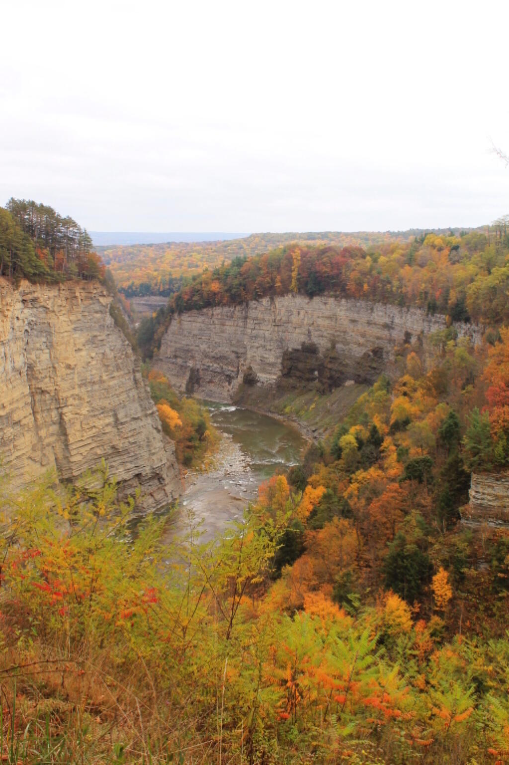 Gorge Between Middle and Lower Falls