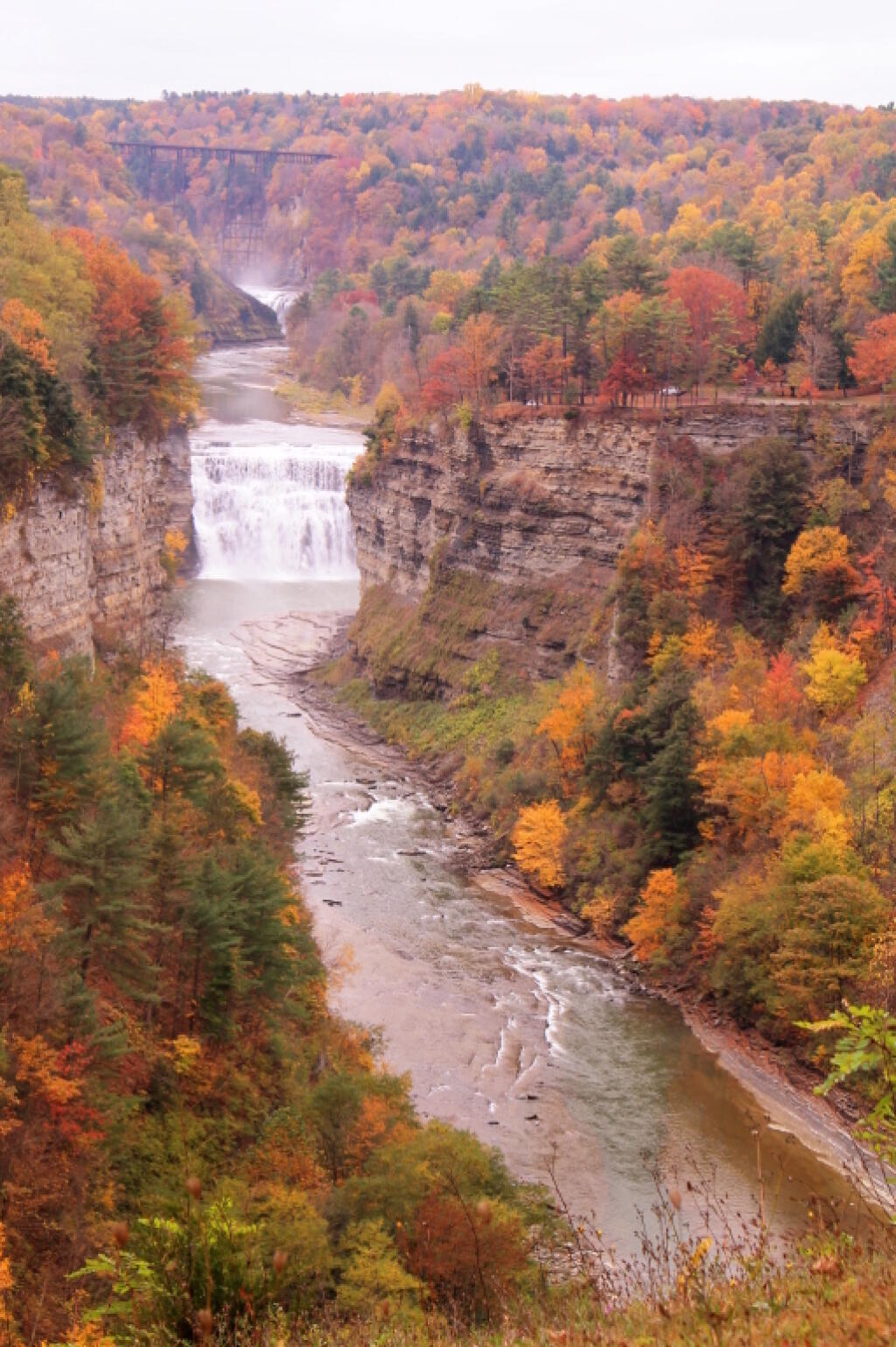  View of the Old Letchworth Bridge