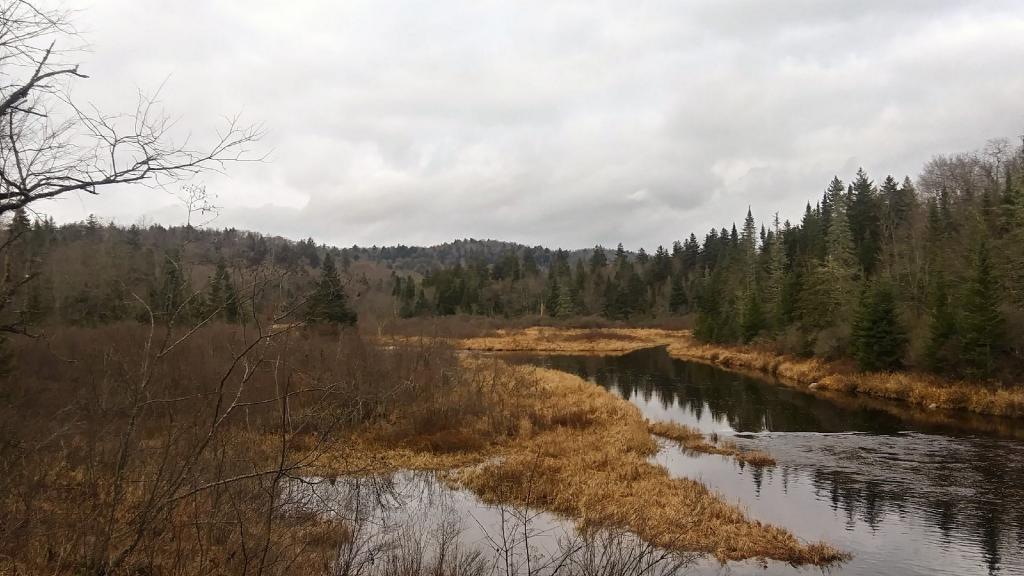 Dreary skies over the East Canada Creek