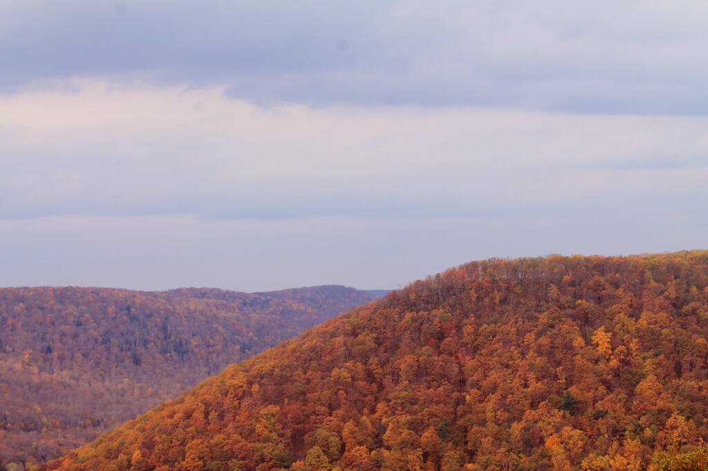 Allegheny Mountains