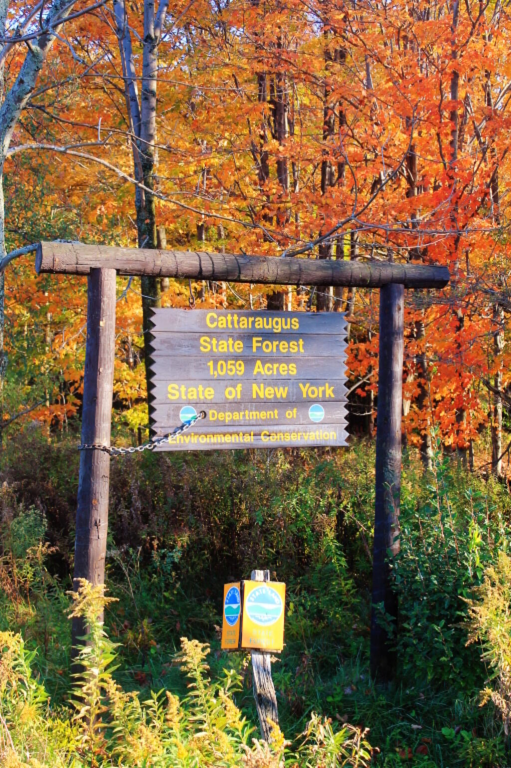 Cattaraugus State Forest Sign