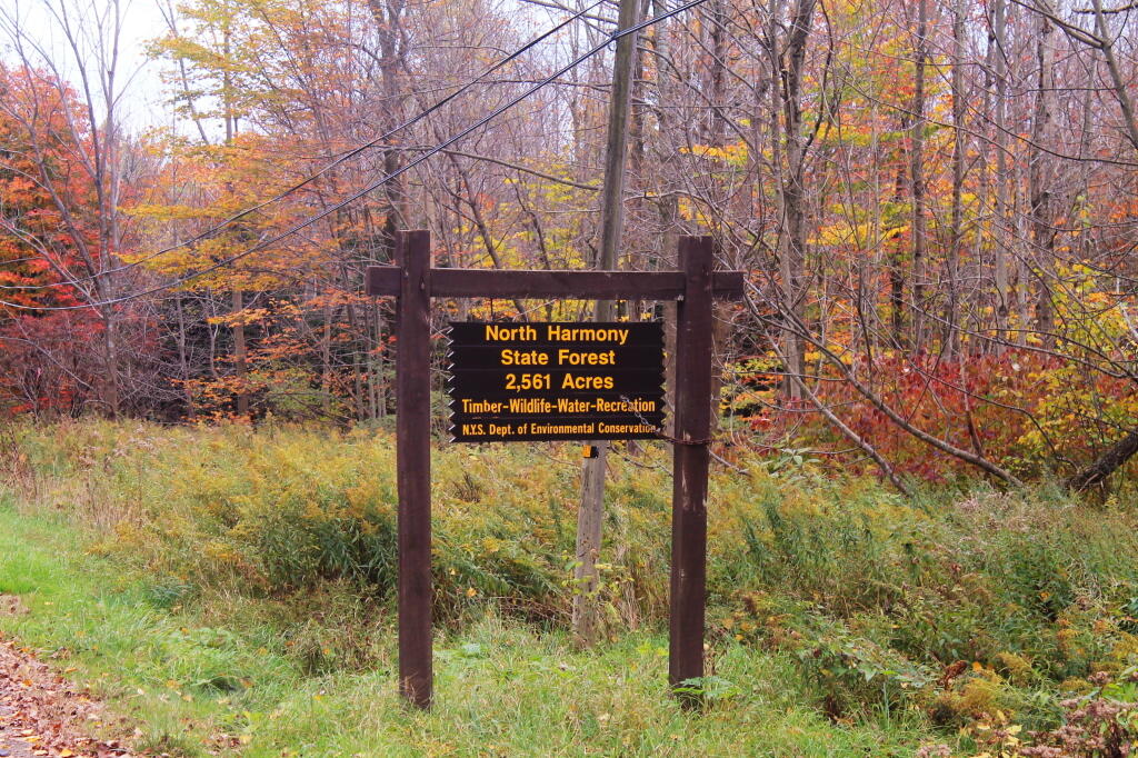 North Harmony State Forest