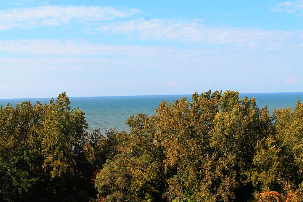 View Of Lake Erie From Tower