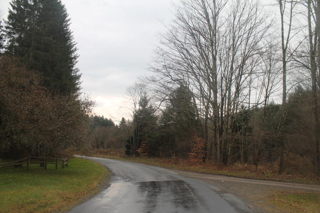 Intersection of East and West Trout Brook Road
