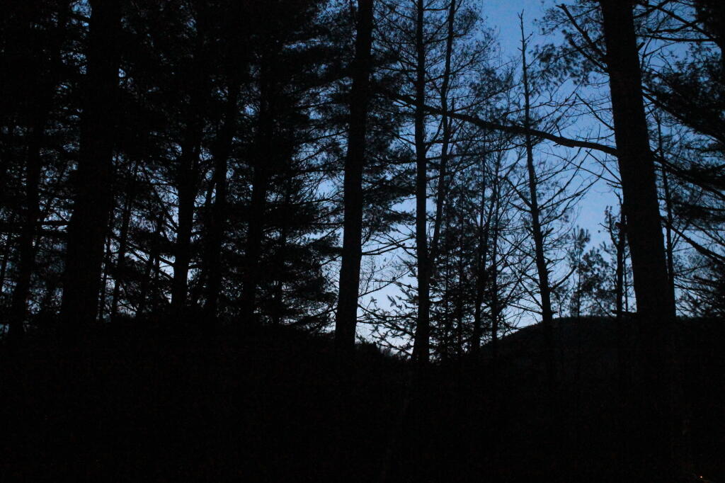 Darkness Sets In Over Siamese Pond Wilderness