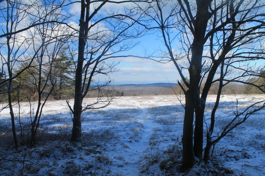 Looking Out on Summit