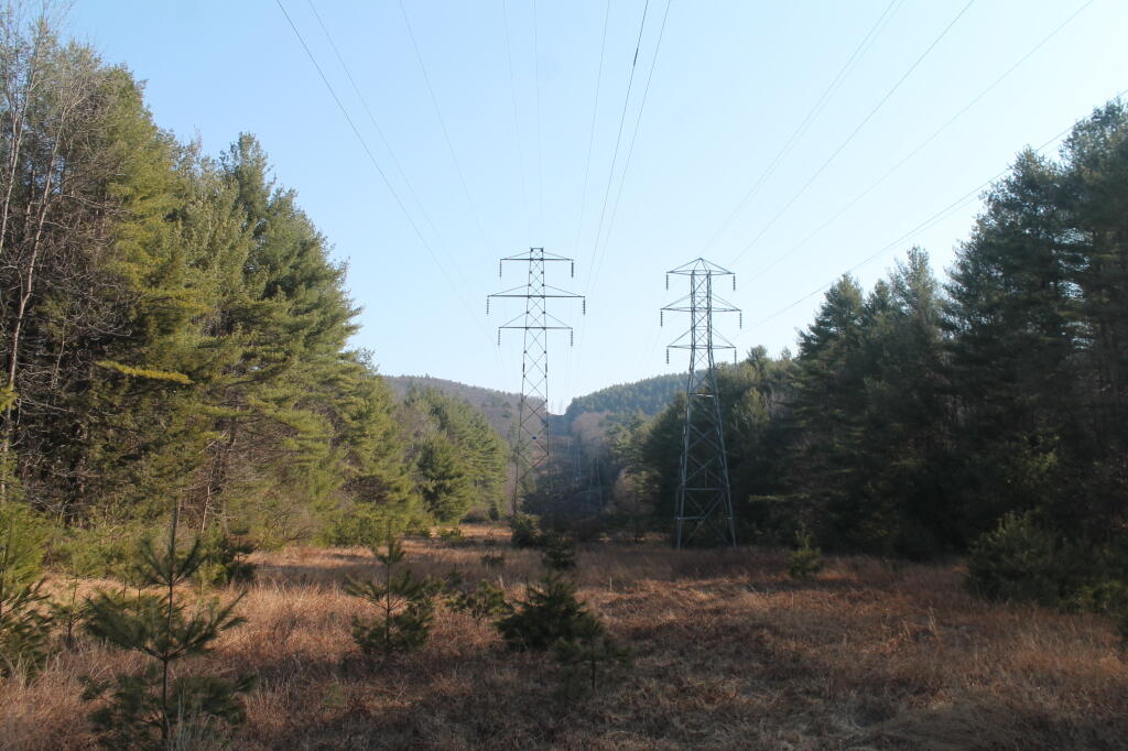 Powerlines Cut Through Moreau Lake State Park