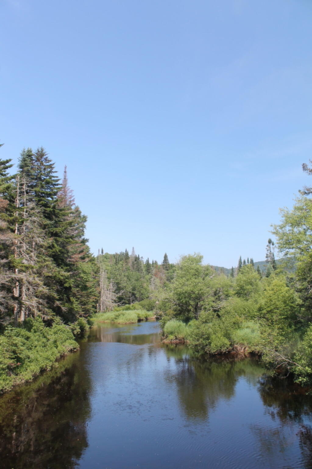 West Branch of the East Canada Creek