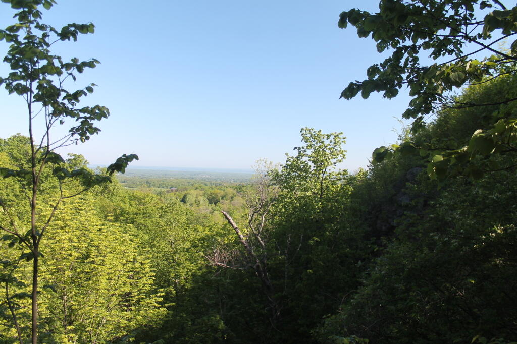 Another Overlook View