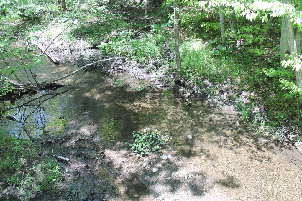 Stream Feeding into Chittenango Creek