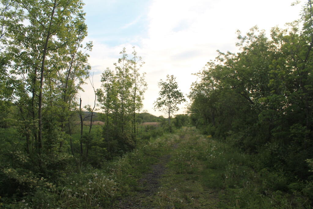Trail Runs Between Farm Fields