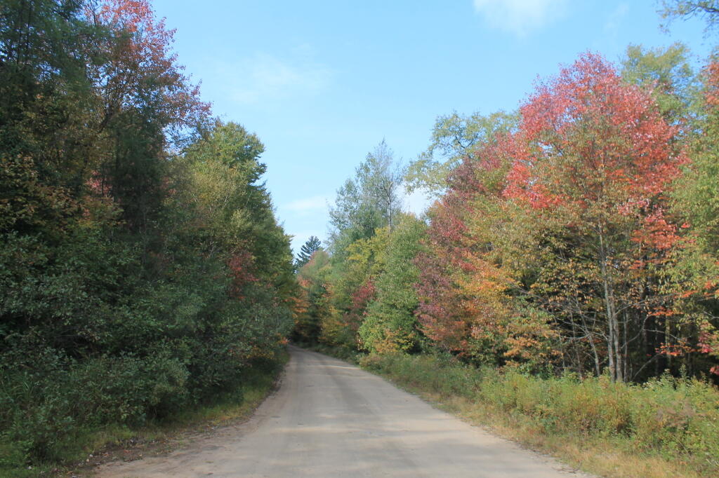 Plains Road