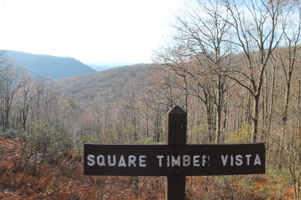 Square Timber Vista Sign