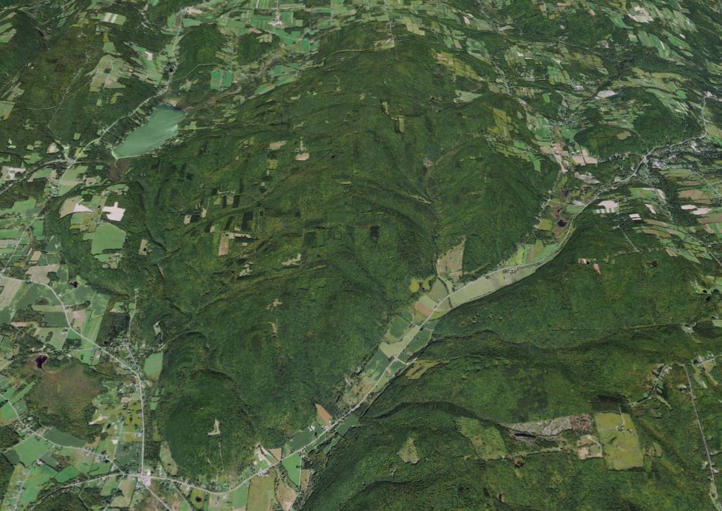 Untitled [Expires August 28 2025]