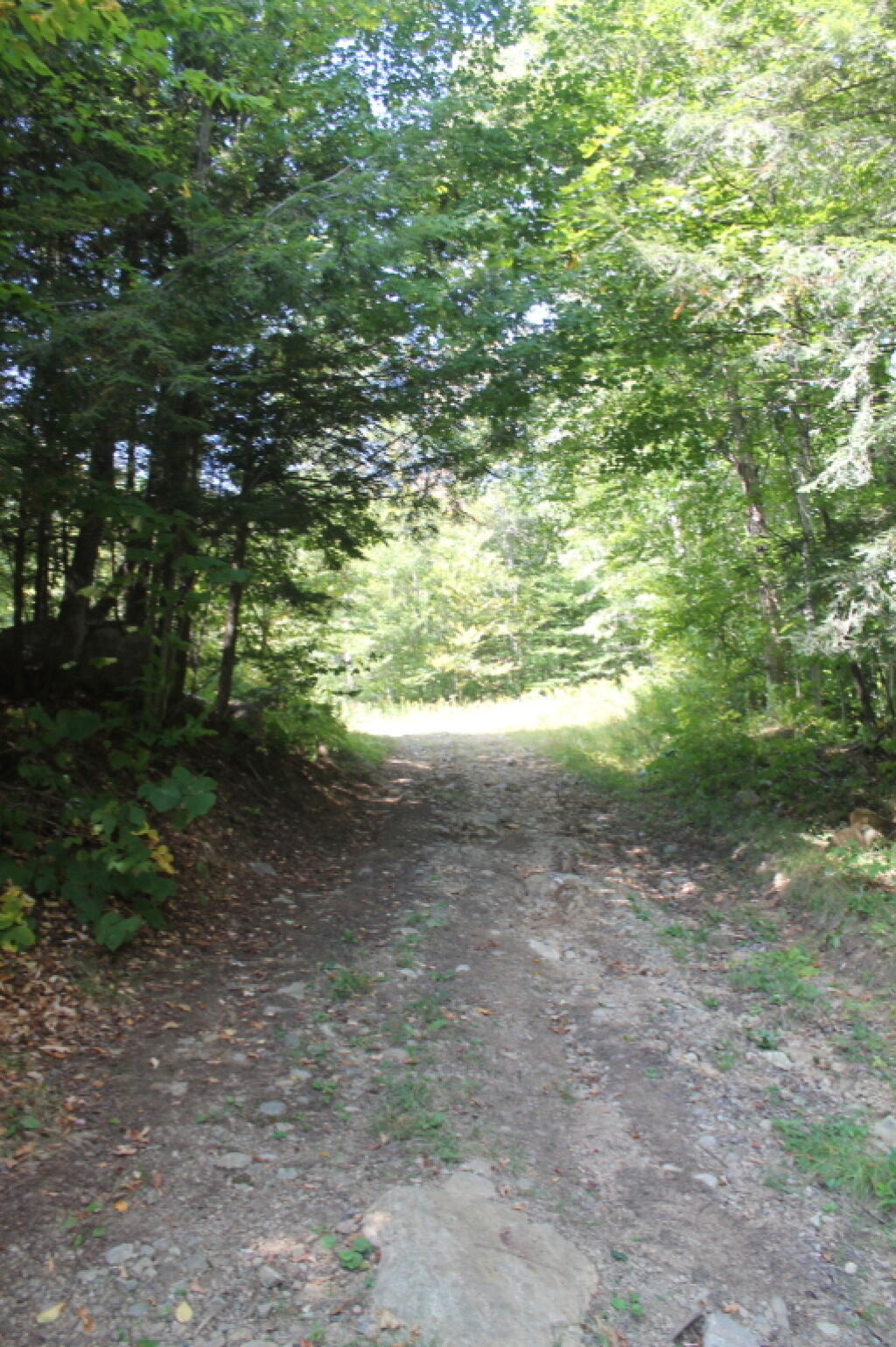  Rough Driveway to One of Campsites Along Old Route 8
