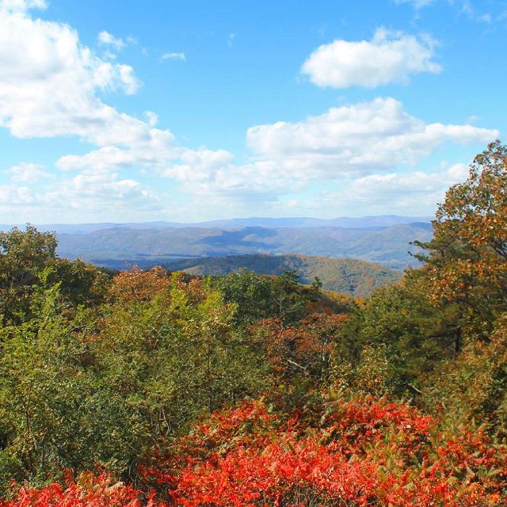 View from Shenandoah Mountain Overlook on US 33 at WV / VA border