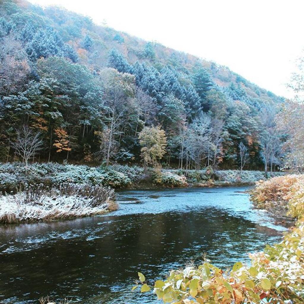 Frosty Pine Creek