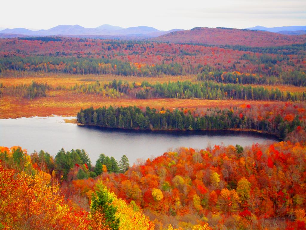 Untitled [Expires October 27 2025]