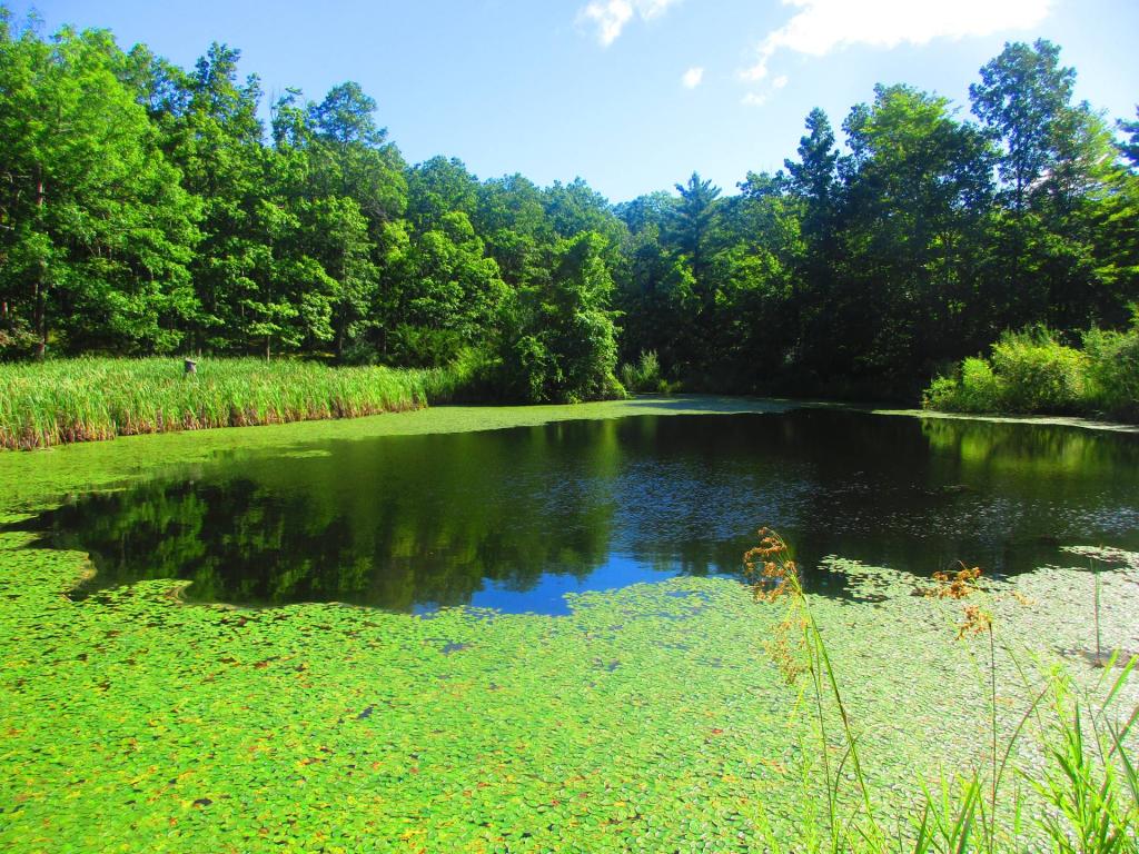 Untitled [Expires September 9 2025]