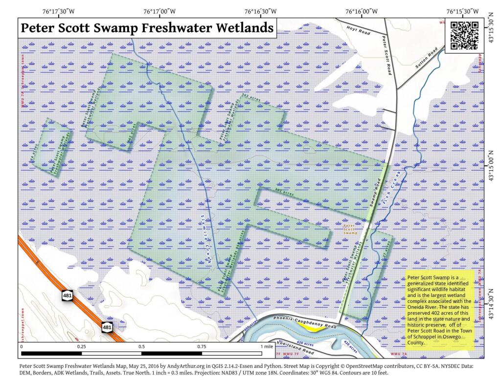  Peter Scott Swamp Freshwater Wetlands