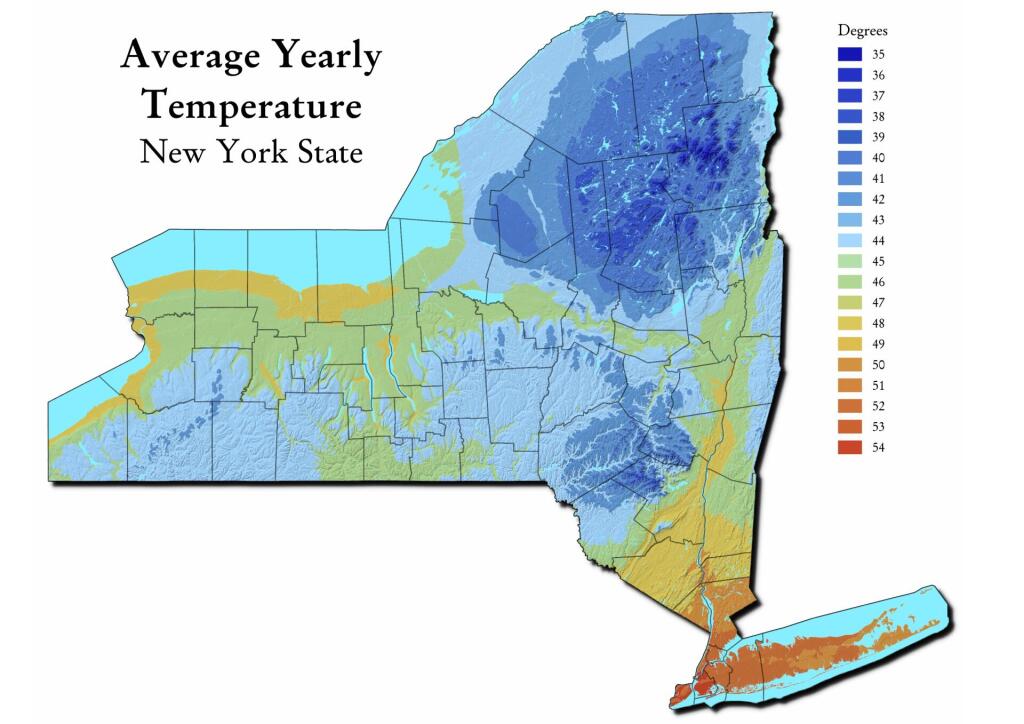  Average Yearly Temperature