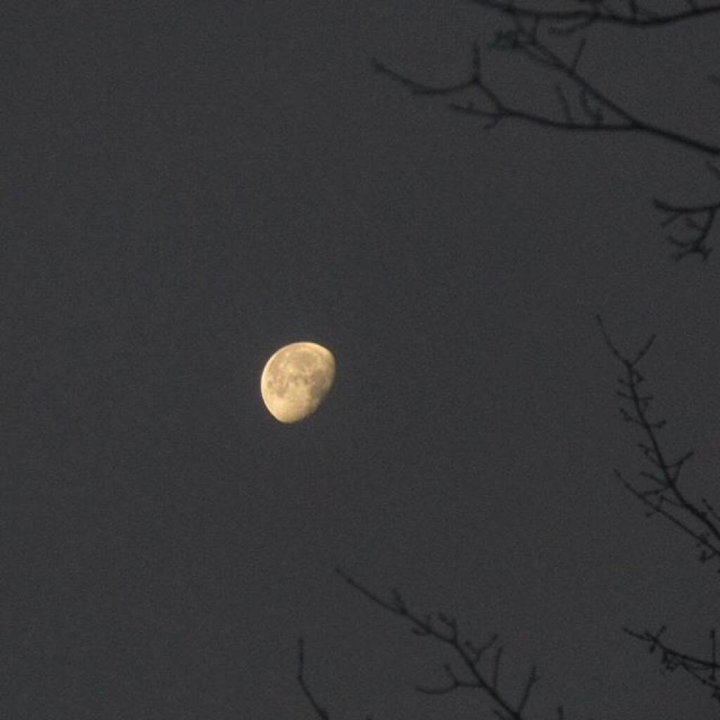 The moon early Friday morning