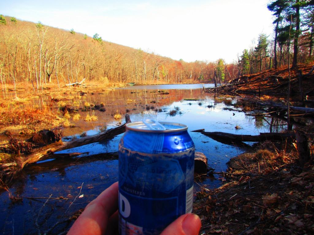 Found this Unopened Can of Bud Light Along the Skyline Trail